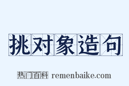 挑对象造句是什么意思的图片